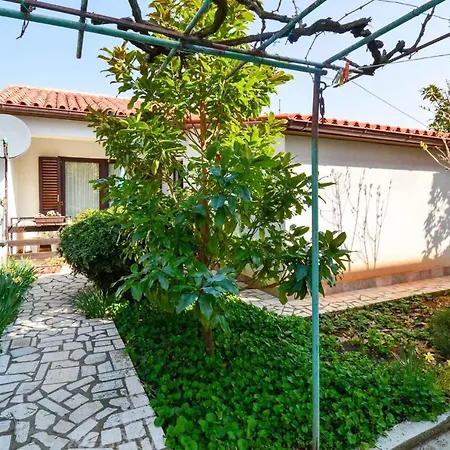 Apartment In Pula/istrien 36865