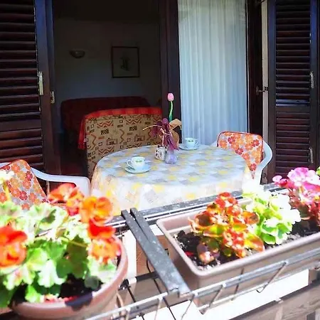 Apartment In Pula/istrien 36865